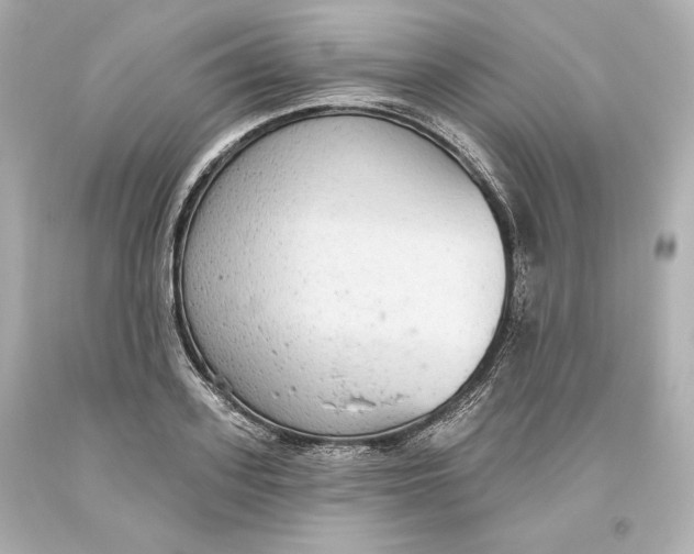 X0000093620939200711051236