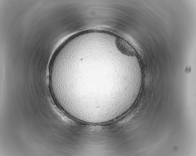 X0000093620940200711051236