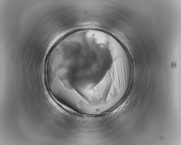 X0000093620941200711051236