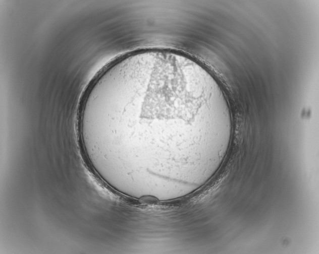 X0000093620942200711051236