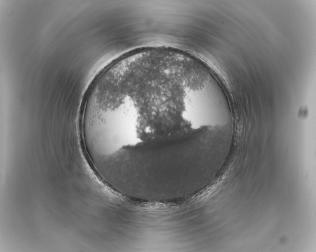 X0000093620943200711051236