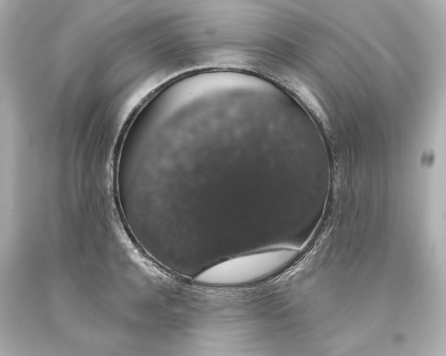 X0000093620944200711051236