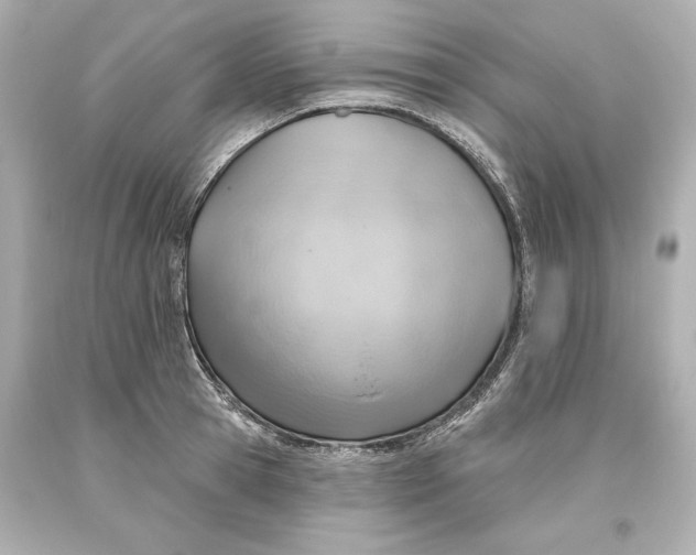 X0000093620945200711051236