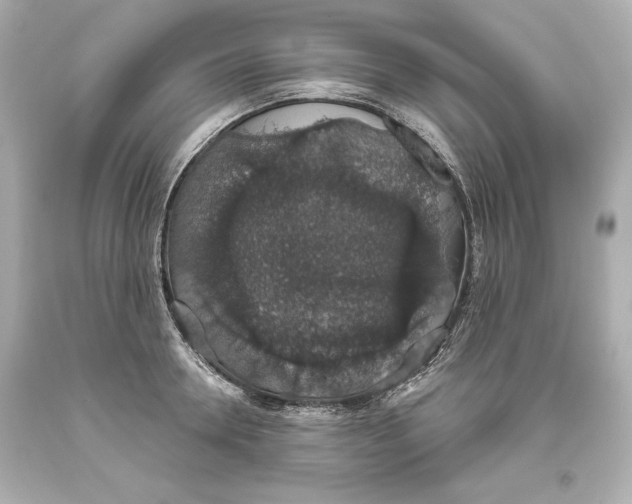 X0000093620946200711051236