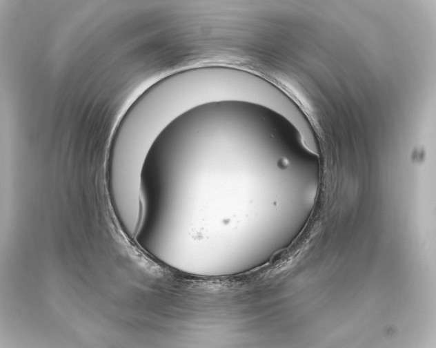 X0000093620948200711051236