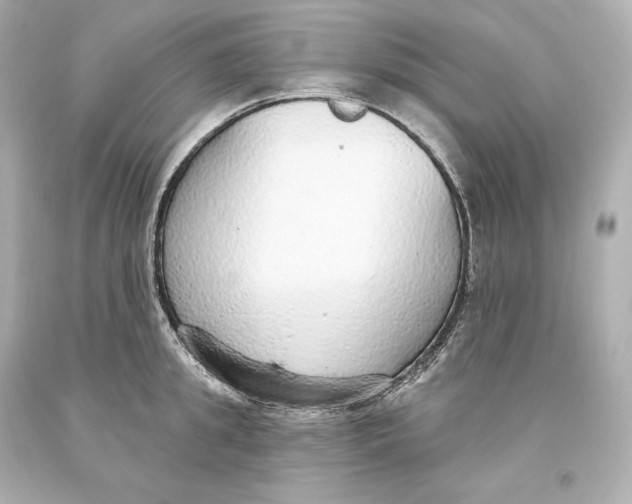 X0000093620949200711051236