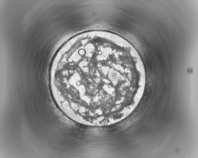 X0000093620950200711051236