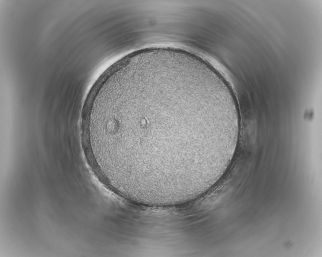 X0000093620951200711051236