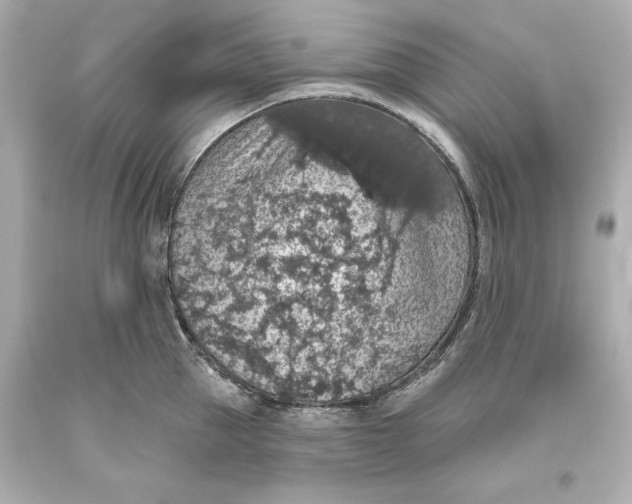 X0000093620953200711051236