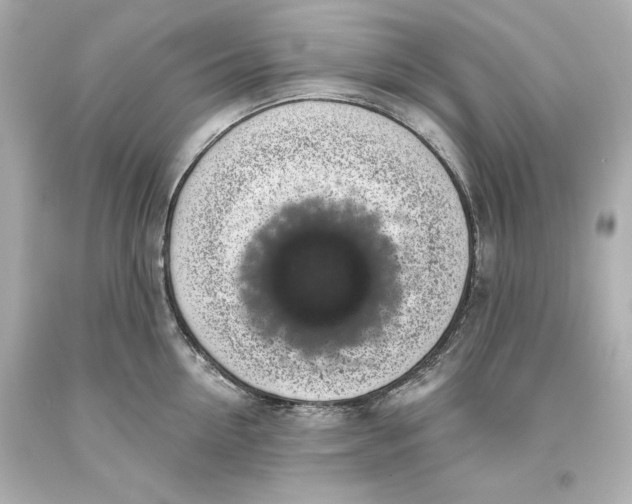 X0000093620954200711051236