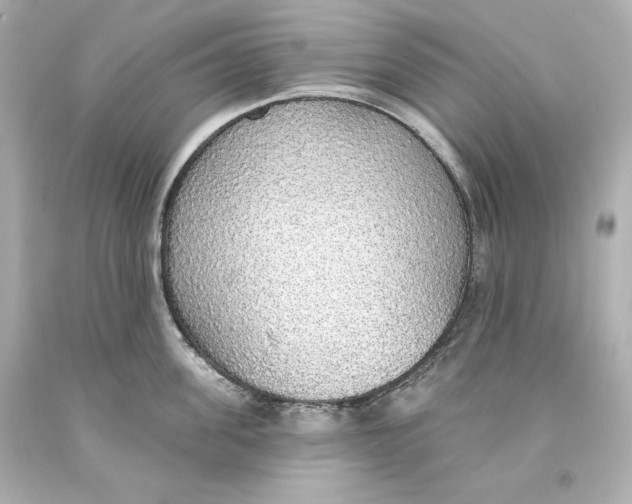 X0000093620955200711051236