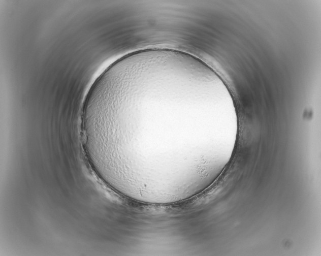 X0000093620956200711051236