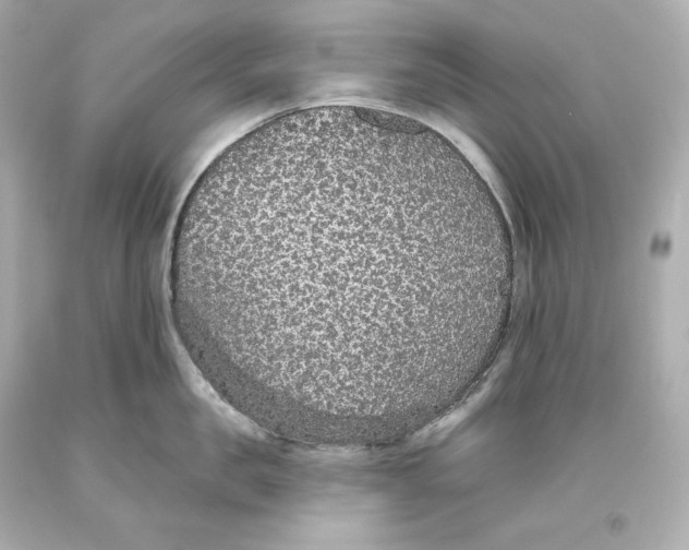 X0000093620957200711051236