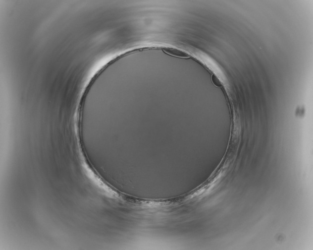 X0000093620958200711051236