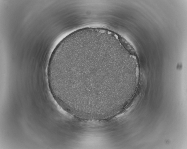 X0000093620959200711051236