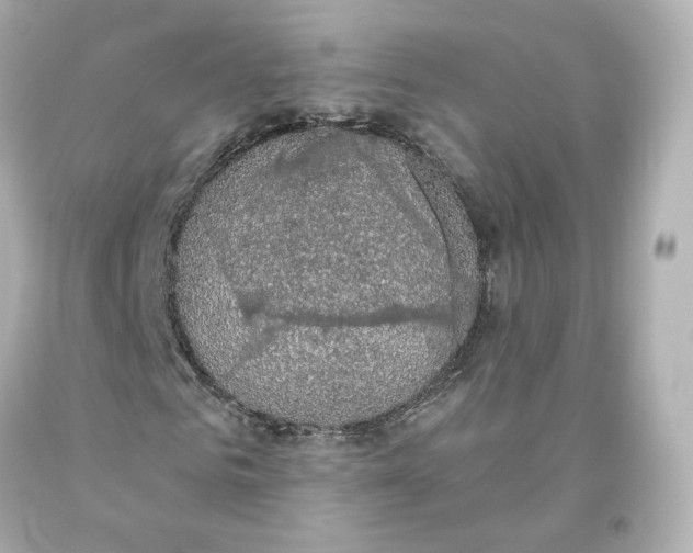 X0000093620961200711051236