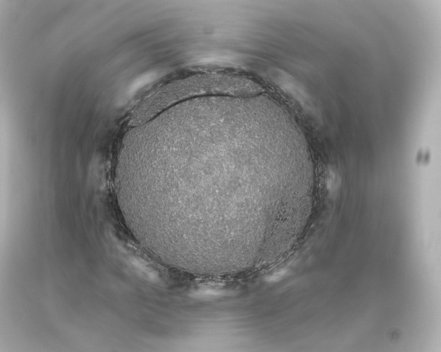 X0000093620965200711051236