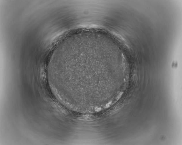 X0000093620966200711051236