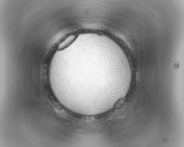 X0000093620968200711051236