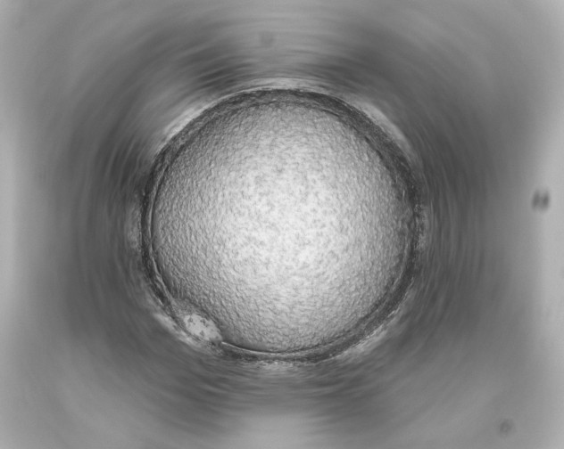 X0000093620969200711051236