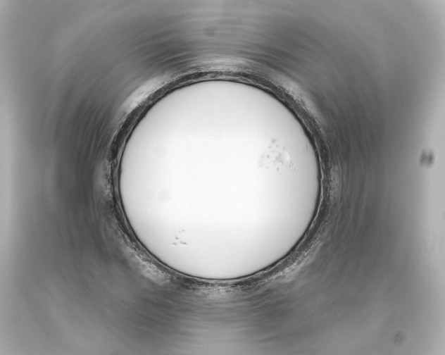 X0000093620970200711051236