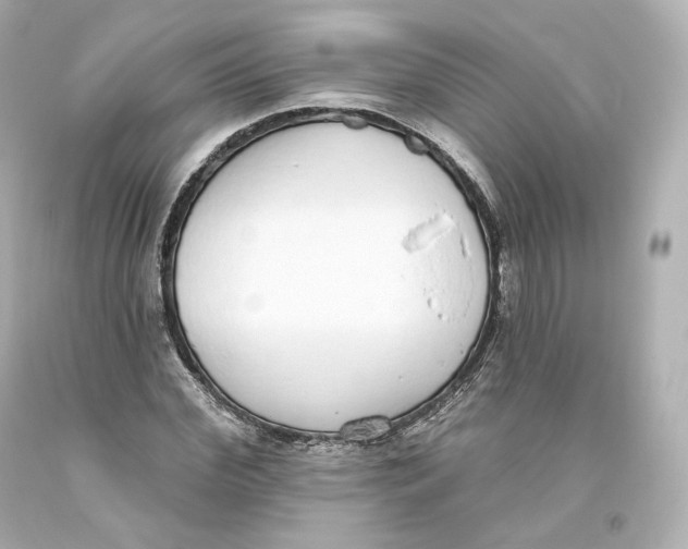 X0000093620972200711051236