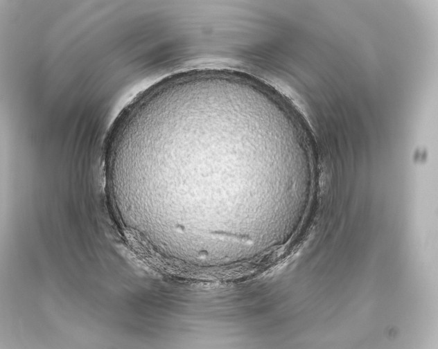 X0000093620973200711051236