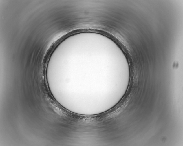 X0000093620974200711051236