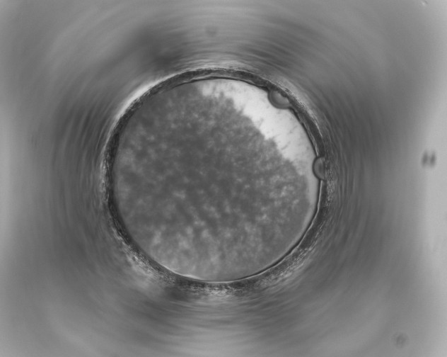 X0000093620975200711051236