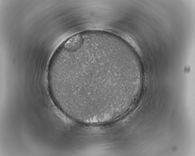 X0000093620976200711051236