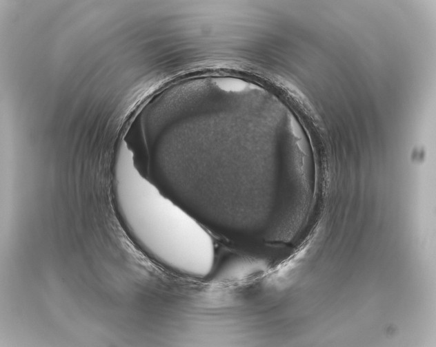 X0000093620977200711051236