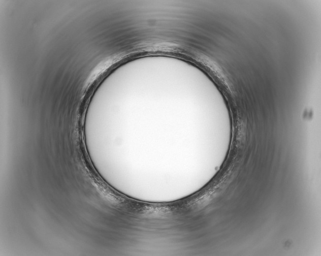 X0000093620978200711051236