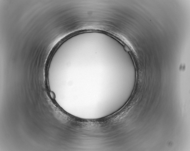 X0000093620980200711051236