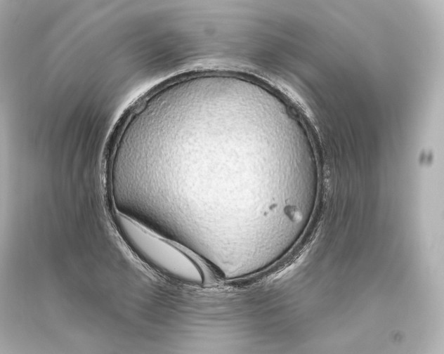 X0000093620981200711051236