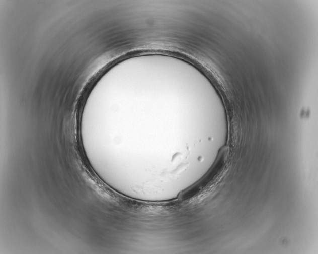 X0000093620982200711051236