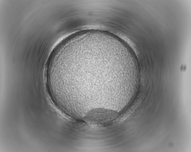 X0000093620983200711051236