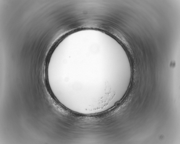 X0000093620984200711051236