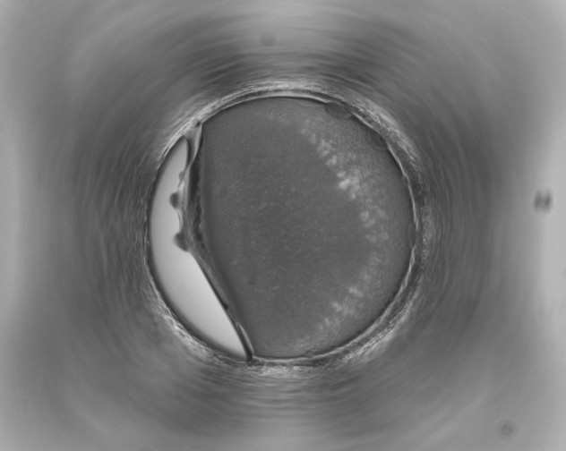 X0000093620985200711051236