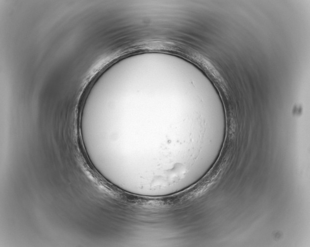 X0000093620986200711051236