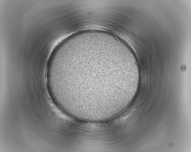 X0000093620987200711051235