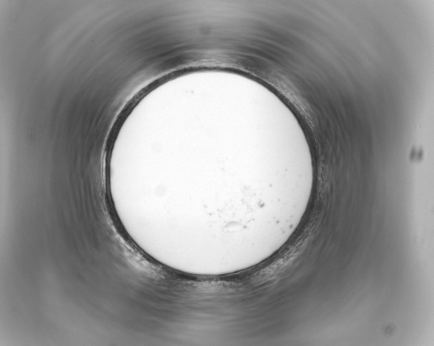 X0000093620988200711051235