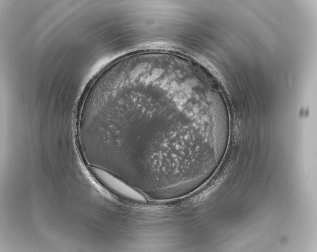 X0000093620989200711051235