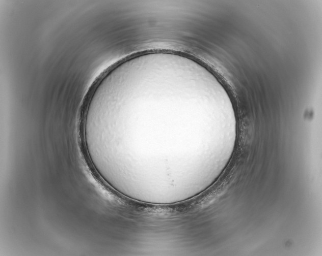 X0000093620991200711051235