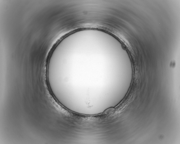 X0000093620992200711051235