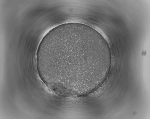 X0000093620996200711051235