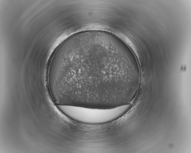 X0000093620997200711051235