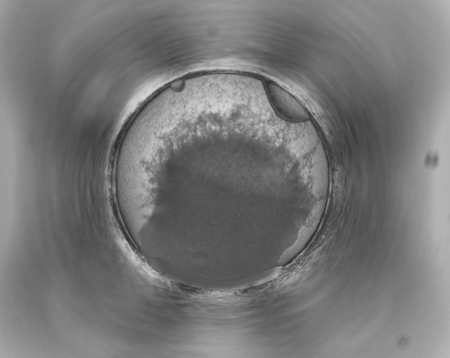 X0000093620998200711051235