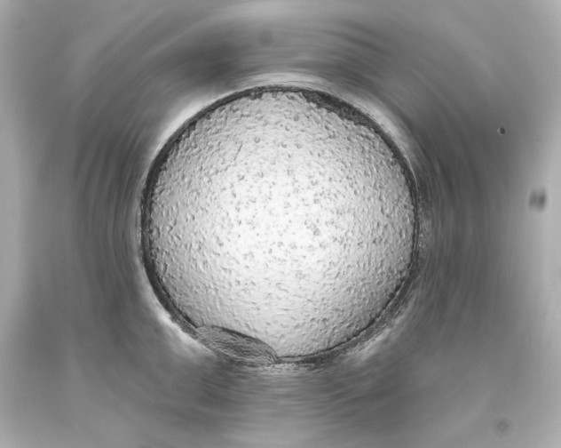 X0000093620999200711051235