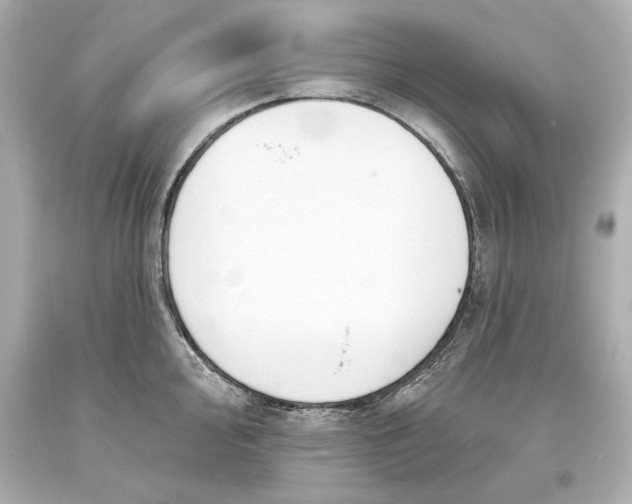 X0000093621000200711051235