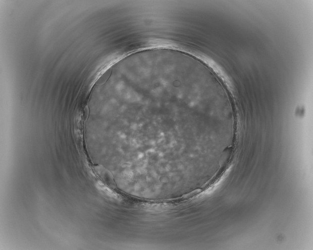 X0000093621001200711051235